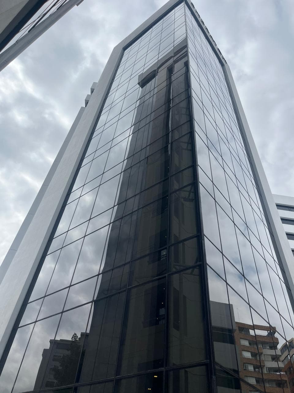 Limpieza Especializada